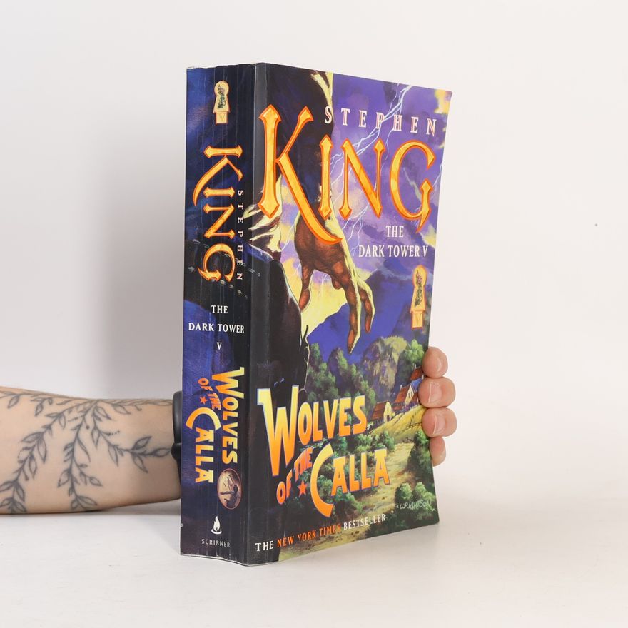 Stephen King The Dark Tower V