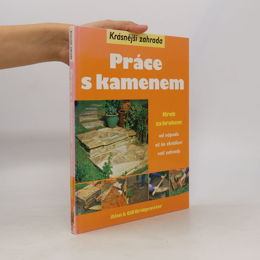 Jan Pacner Práce s kamenem. Krok za krokem