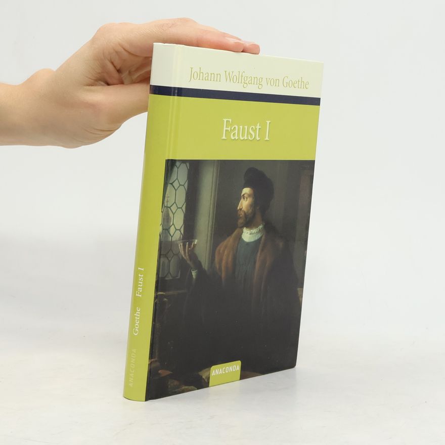 Johann Wolfgang von Goethe Faust : Der Tragödie erster Teil