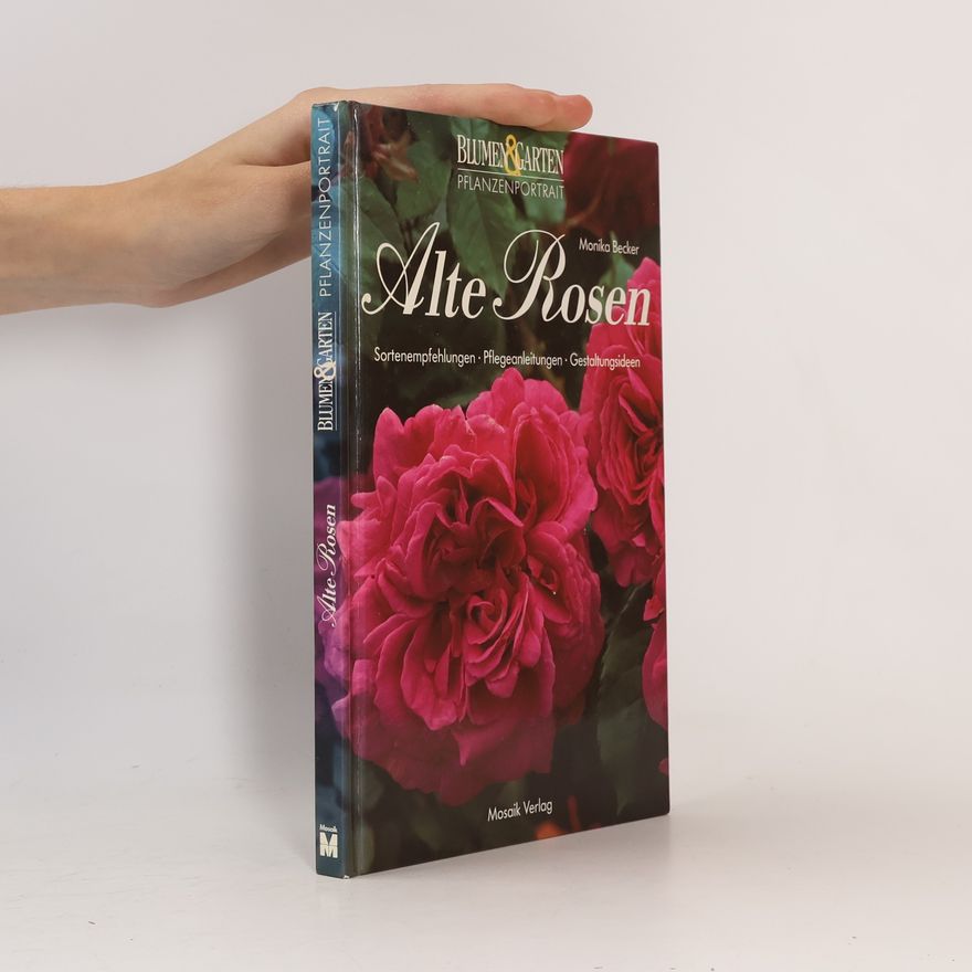 Monika Becker Alte Rosen
