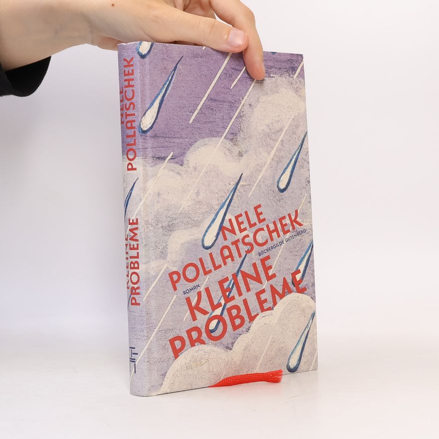 Nele Pollatschek Kleine Probleme