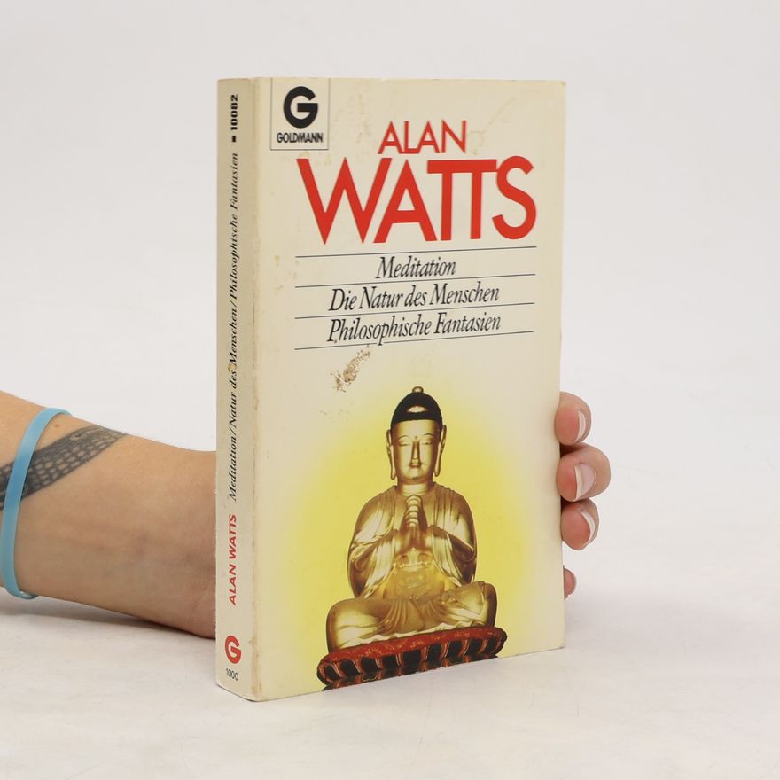 Alan Watts Meditation