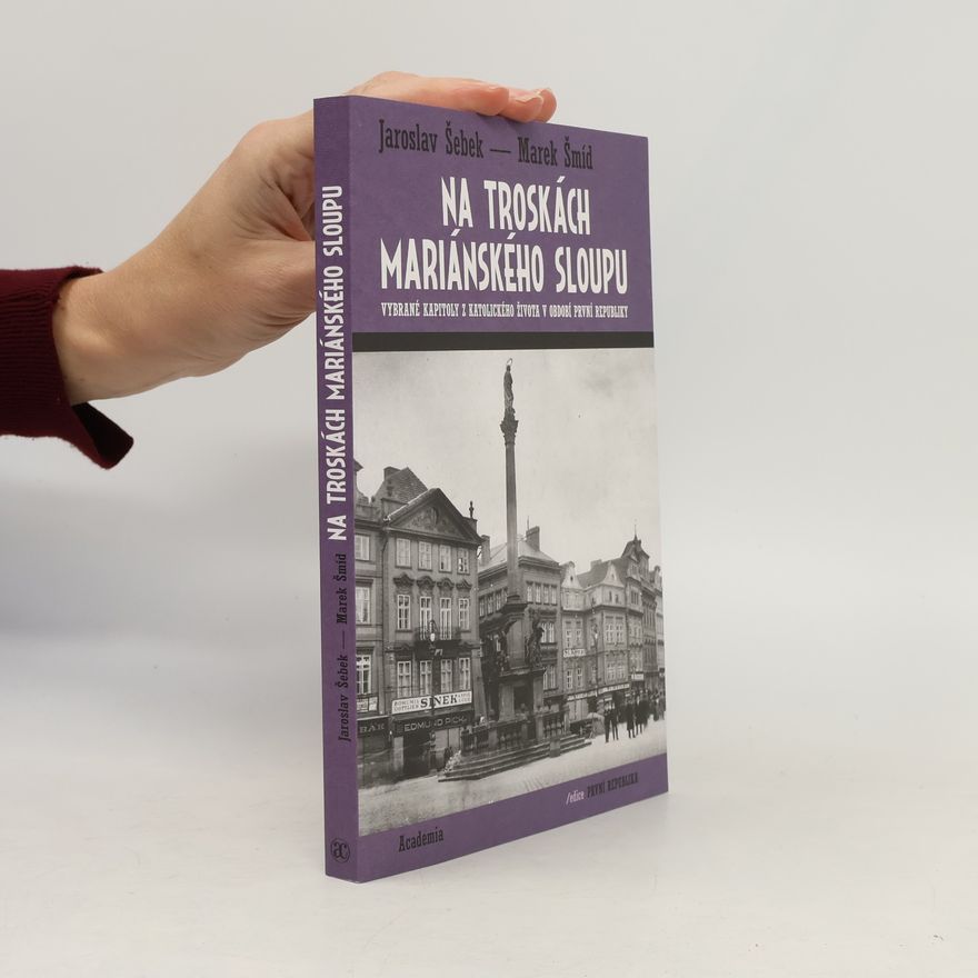 Jaroslav Šebek První republika: Na troskách Mariánského sloupu