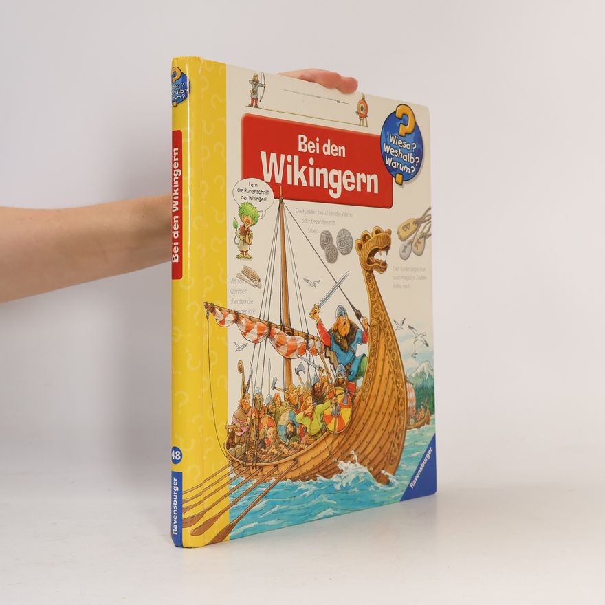 Peter Nieländer Bei den Wikingern
