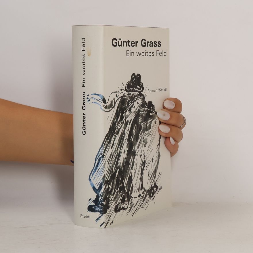 Günter Grass Werkausgabe 13. Ein weites Feld
