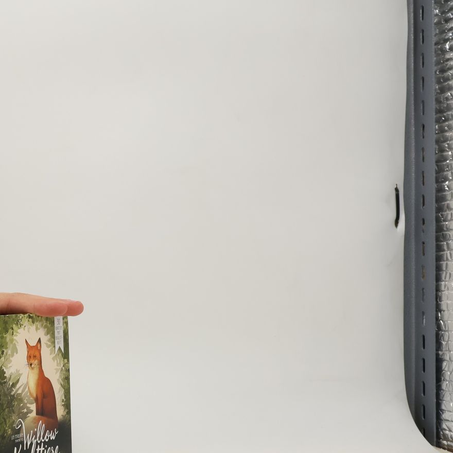 Sabine Bohlmann Ein Mädchen namens Willow: Krafttiere