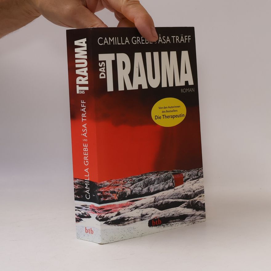 Camilla Grebe Das Trauma