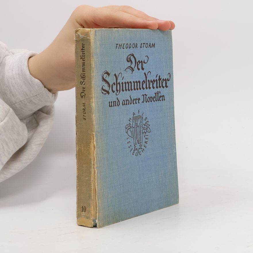 Theodor Storm Der Schimmelreiter und andere Novellen