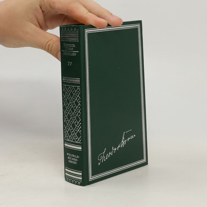 Theodor Storm Novellen I.