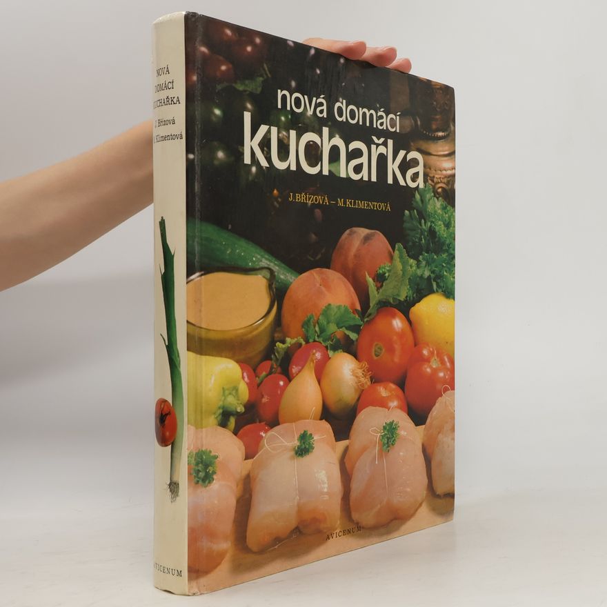 Joza Břízová Nová domácí kuchařka