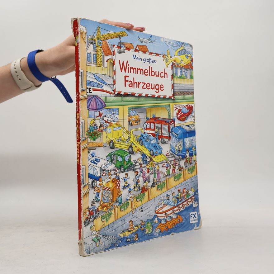Stefan Lohr Mein großes Wimmelbuch Fahrzeuge