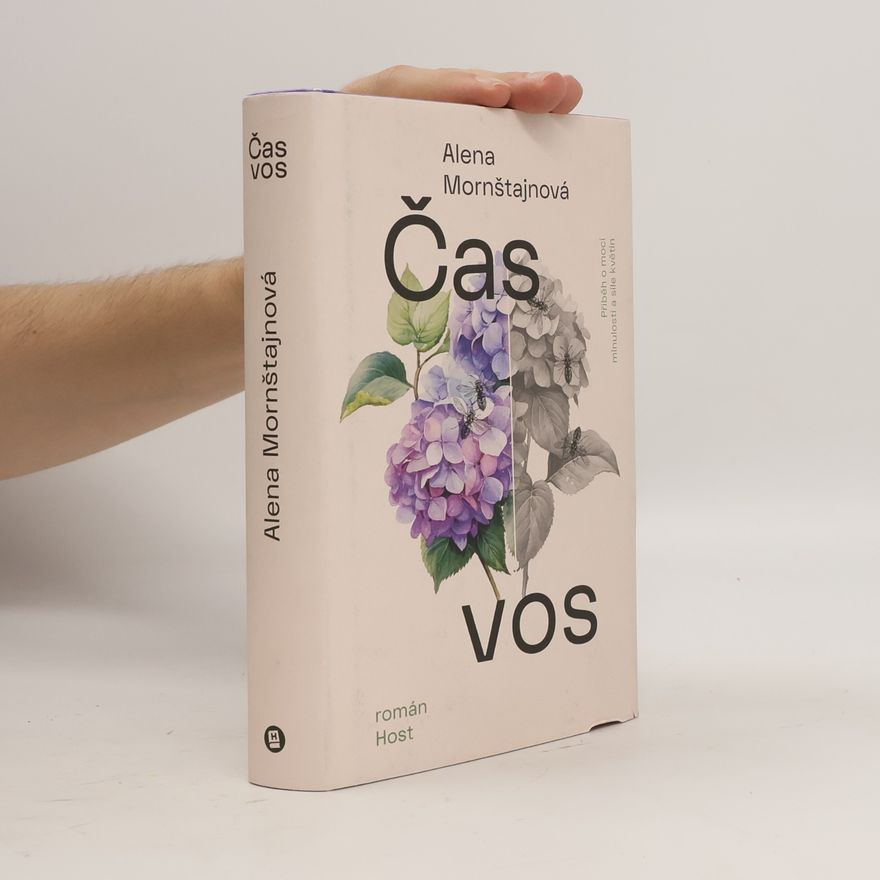 Alena Mornštajnová Čas vos