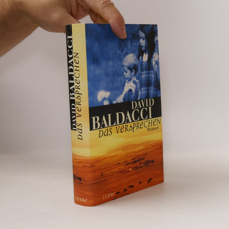 David Baldacci Das Versprechen
