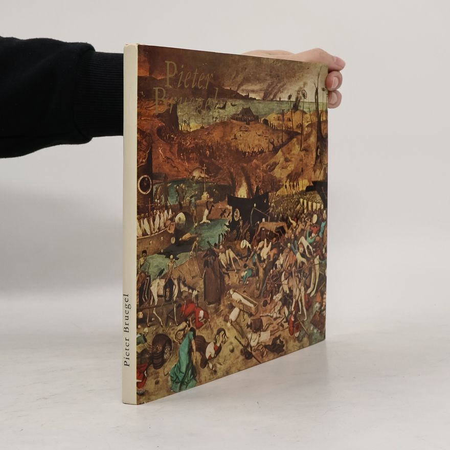 Jaromír Neumann Pieter Bruegel