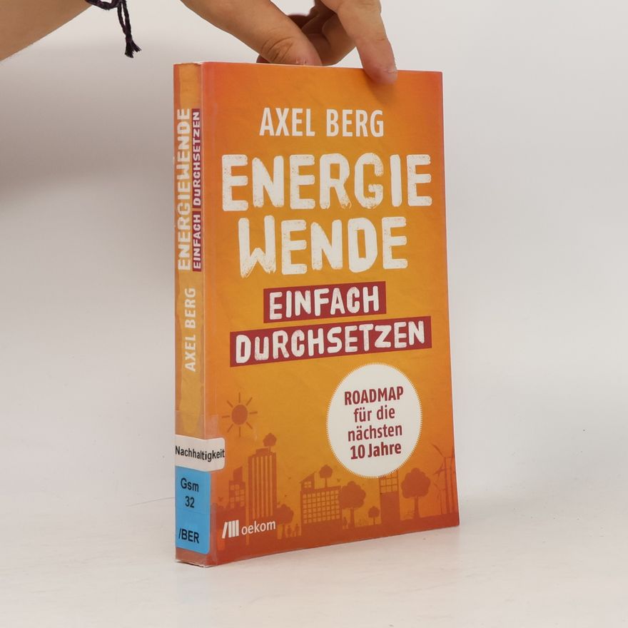 Axel Berg Energiewende einfach durchsetzen