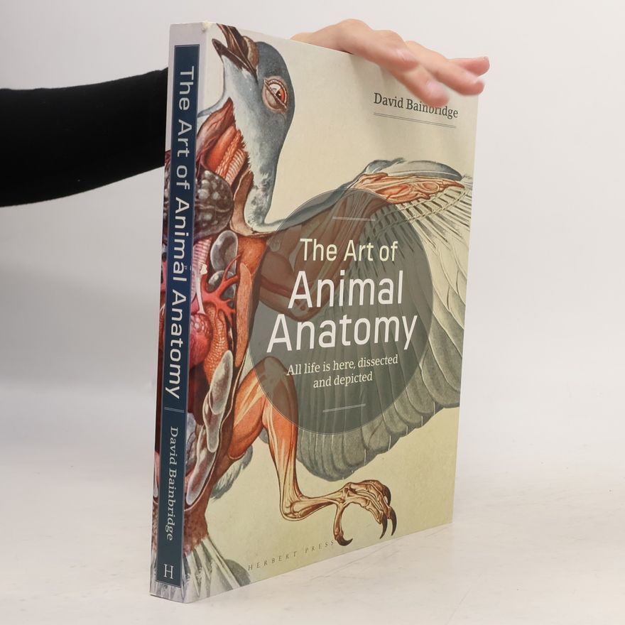 David Bainbridge The Art of Animal Anatomy
