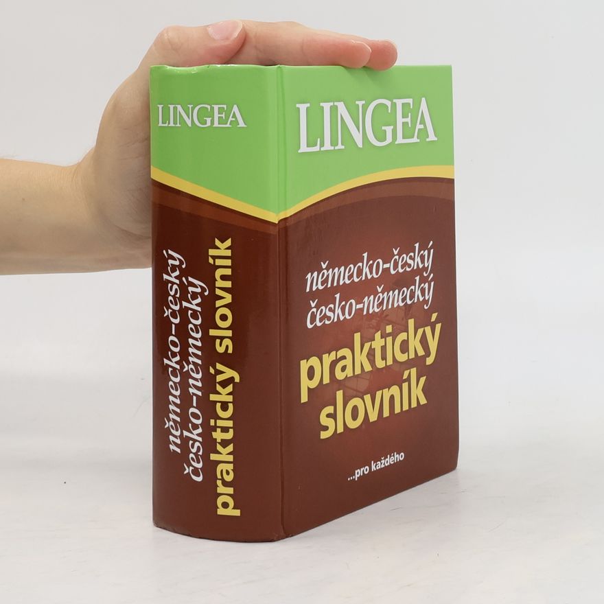 Autorenkollektiv Německo-český česko-německý praktický slovník