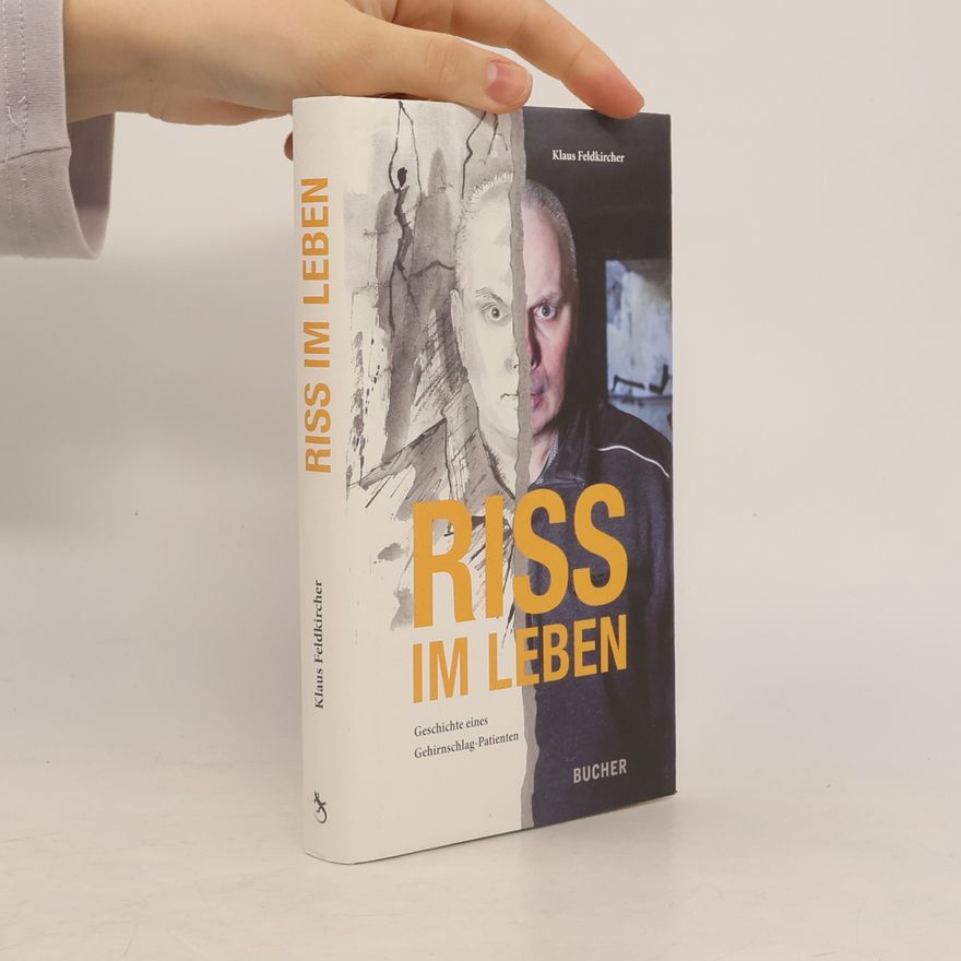 Klaus Feldkircher Riss im Leben