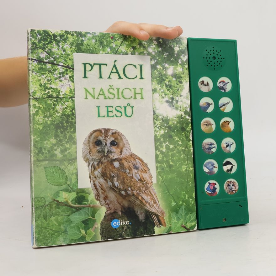 Andrea Pinnington Ptáci našich lesů