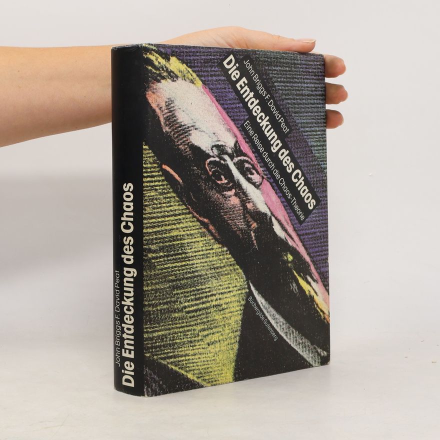 John P. Briggs Die Entdeckung des Chaos