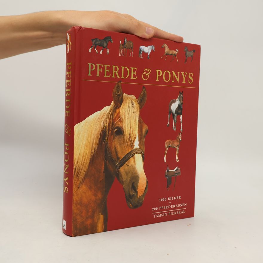 Tam Pickeral Pferde & Ponys