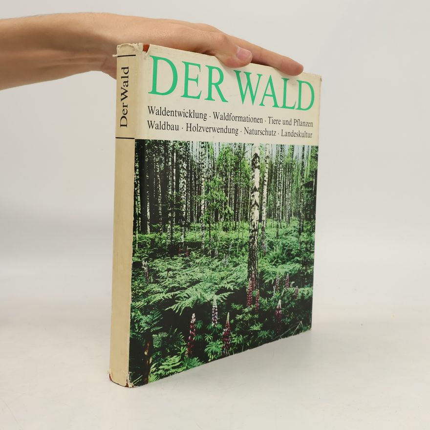 Martin Schretzenmayr Der Wald