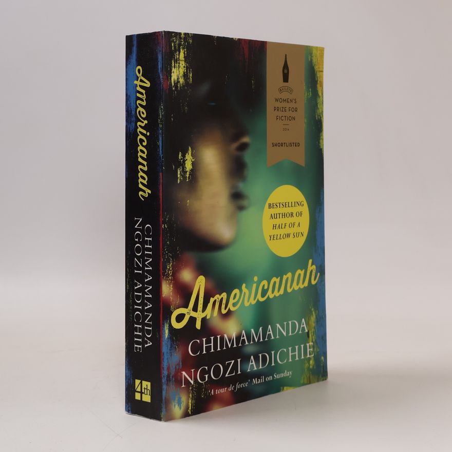 Chimamanda Ngozi Adichie Americanah