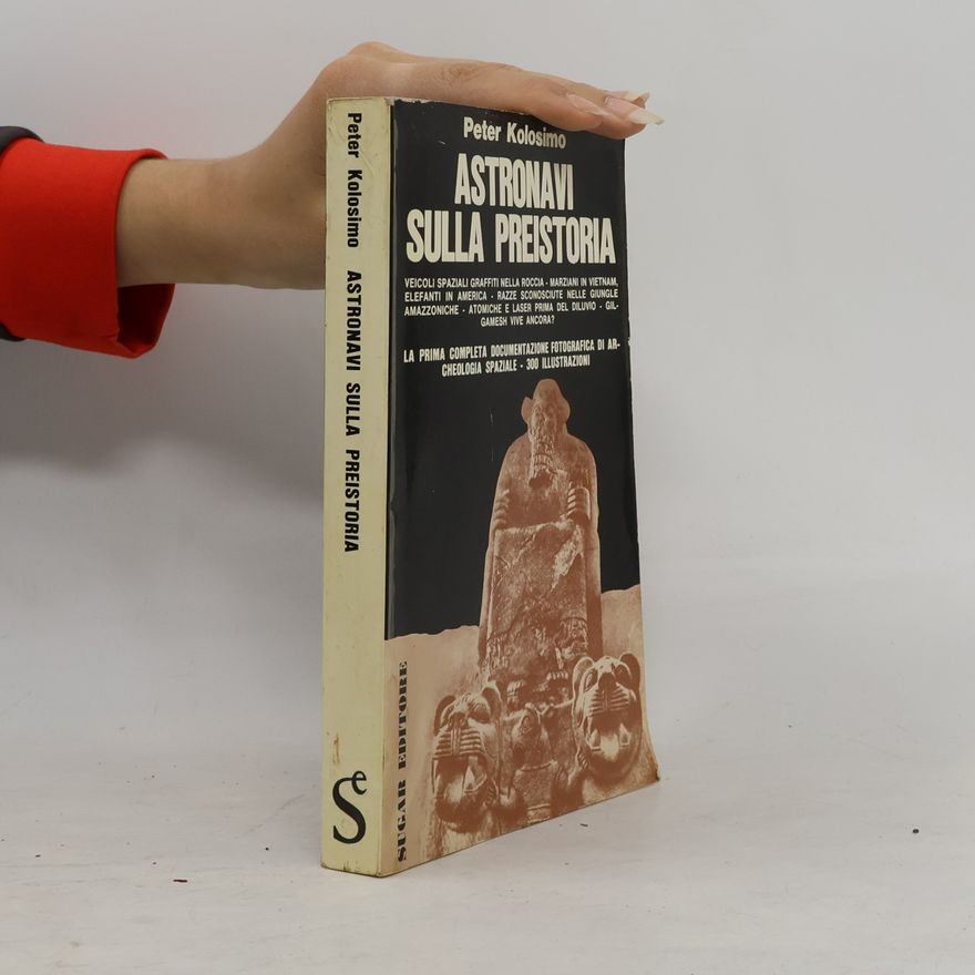 Mario Salomone Astronavi sulla preistoria