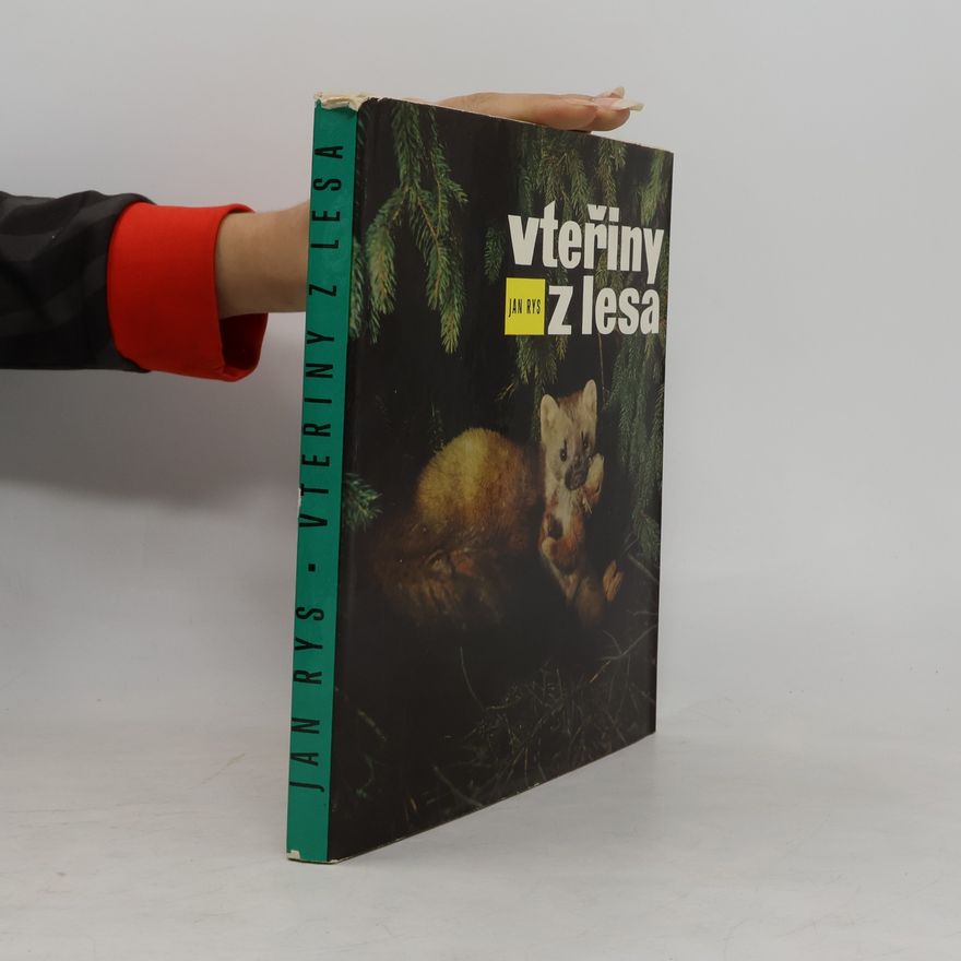 Jan Rys Vteřiny z lesa