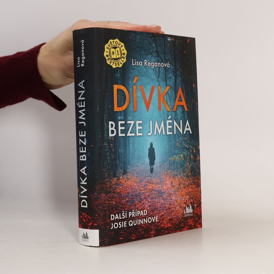 Lisa Regan Dívka beze jména: Další případ Josie Quinnové