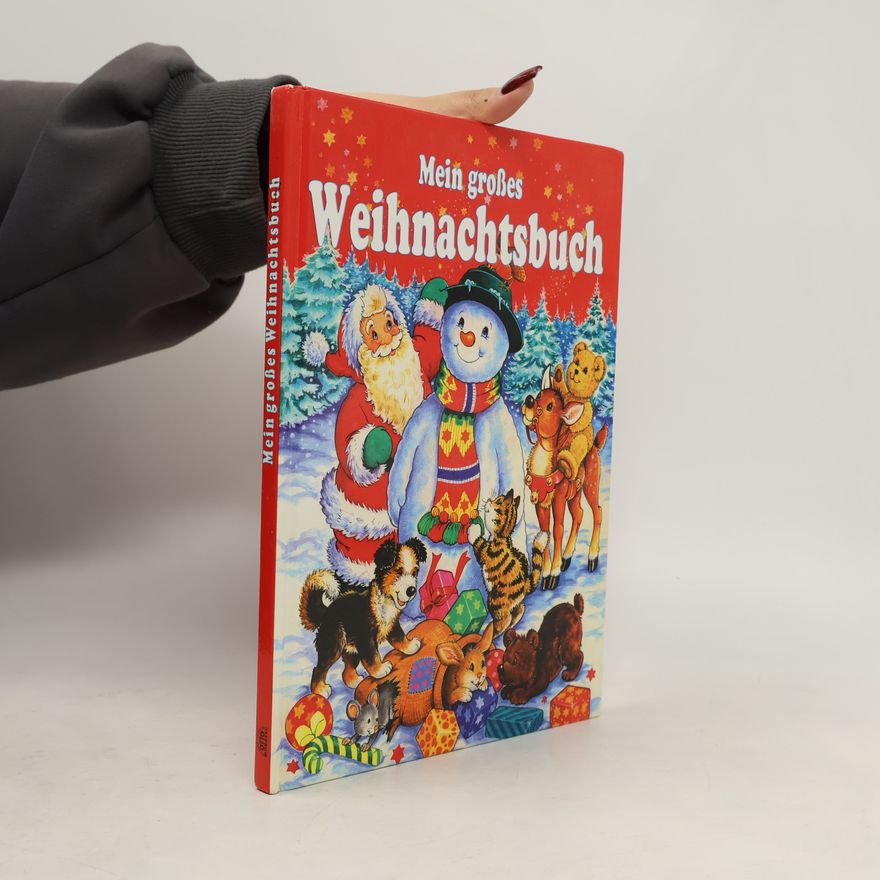 Ugo Maccari Mein großes Weihnachtsbuch