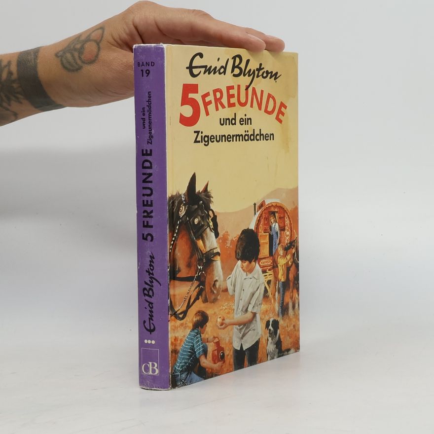 Enid Blyton 5 Freunde erforschen die Schatzinsel. Band 1