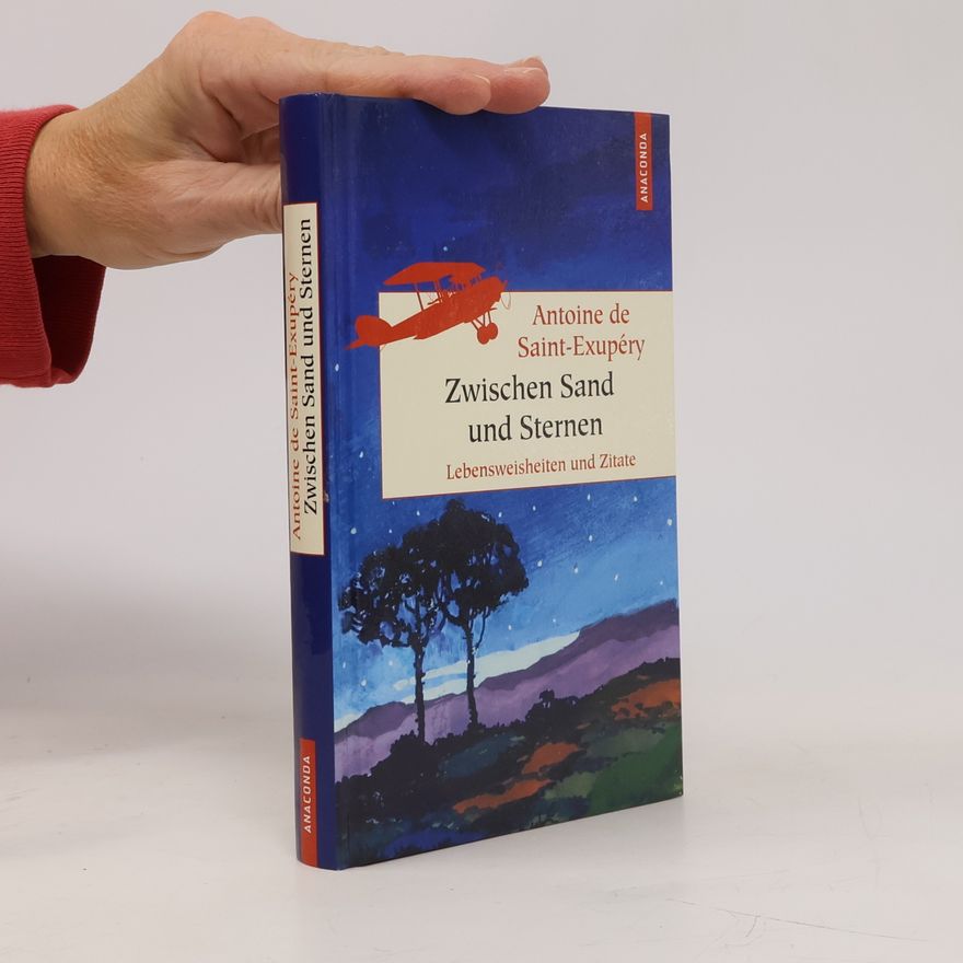 Antoine de Saint-Exupéry Zwischen Sand und Sternen