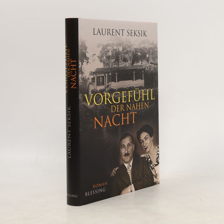 Laurent Seksik Vorgefühl der nahen Nacht