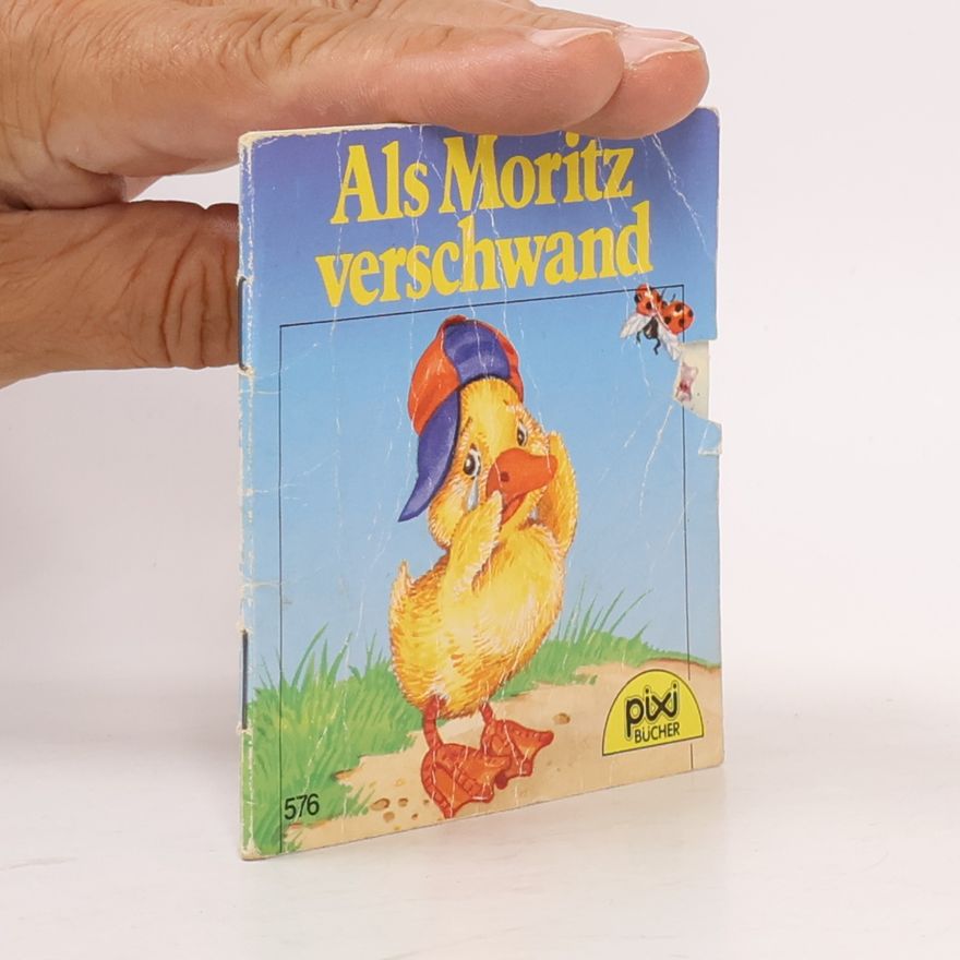 Autorenkollektiv Als Moritz verschwand