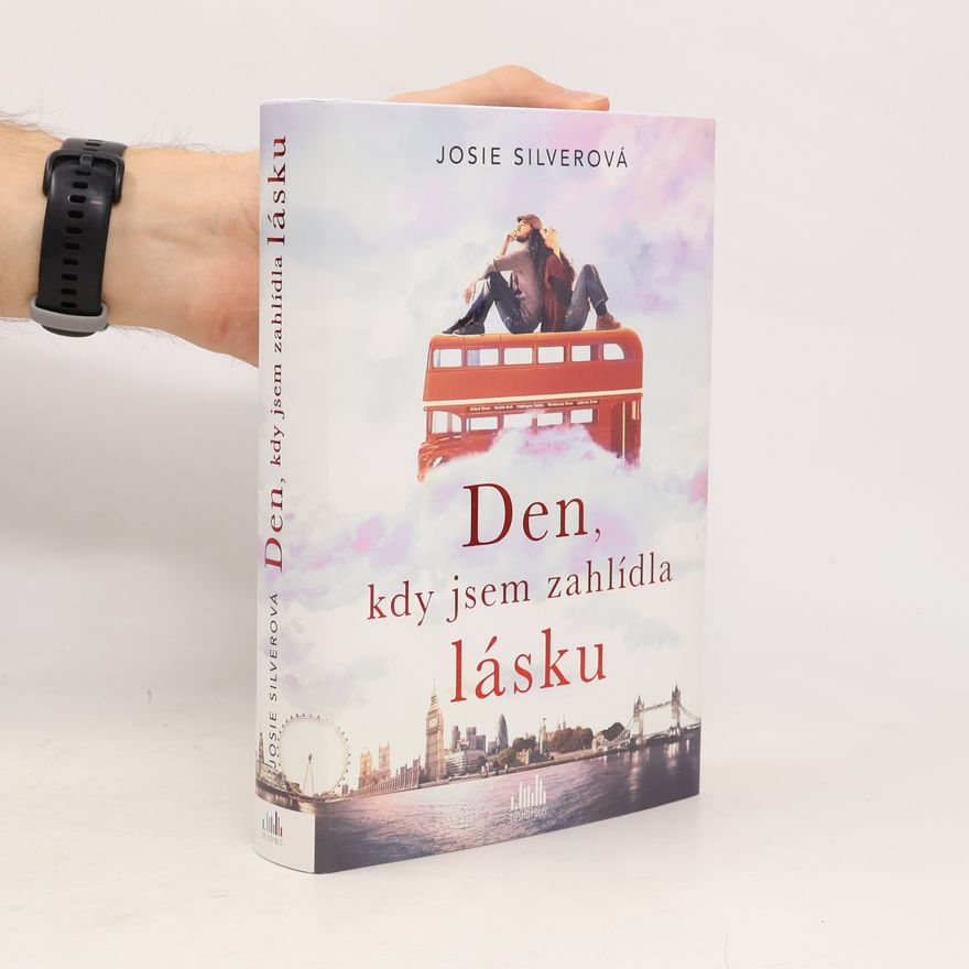 Josie Silver Den, kdy jsem zahlídla lásku