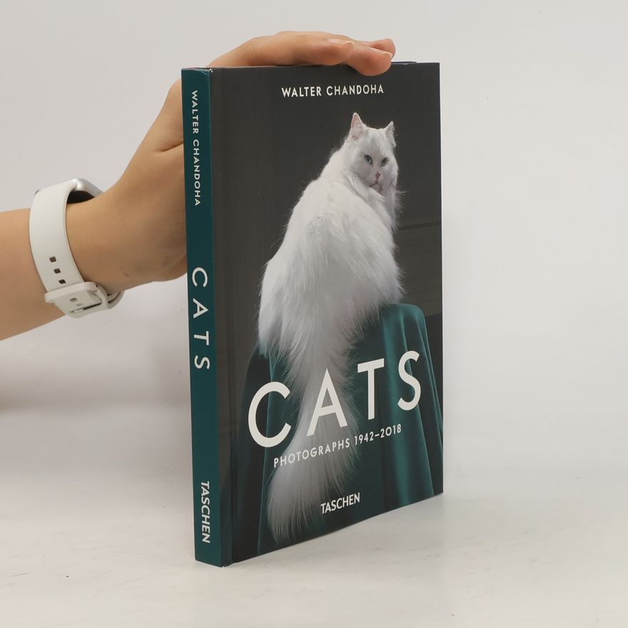 Susan Michals Cats