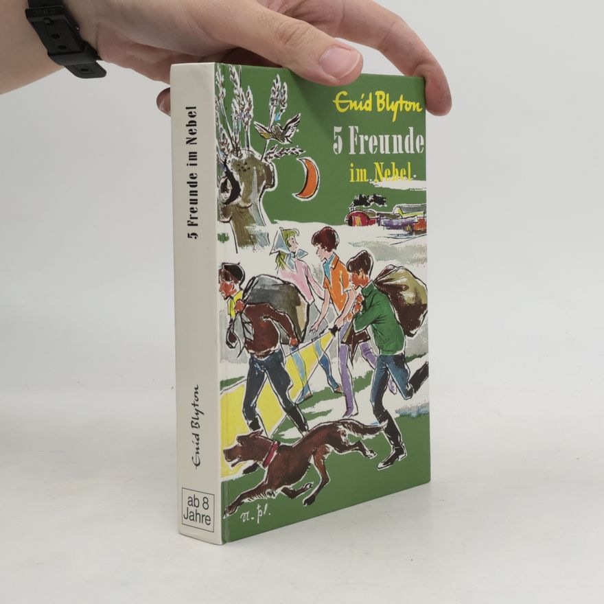 Enid Blyton 5 Freunde im Nebel