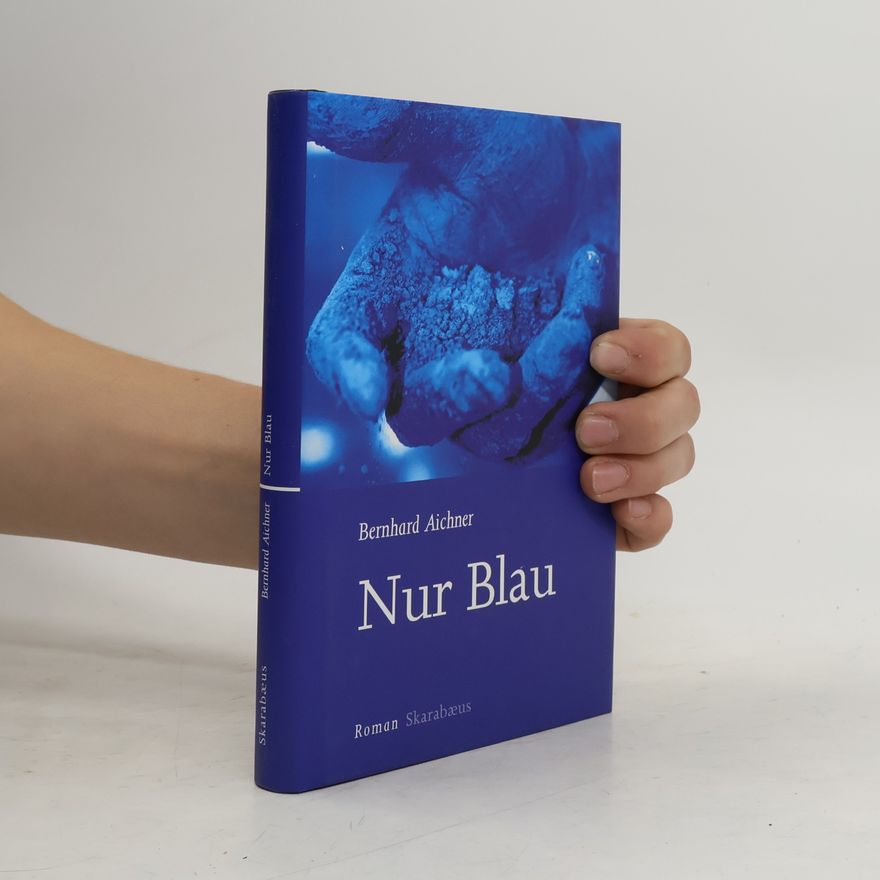 Bernhard Aichner Nur Blau