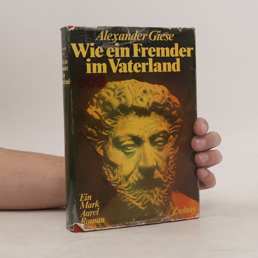 Alexander Giese Wie ein Fremder im Vaterland