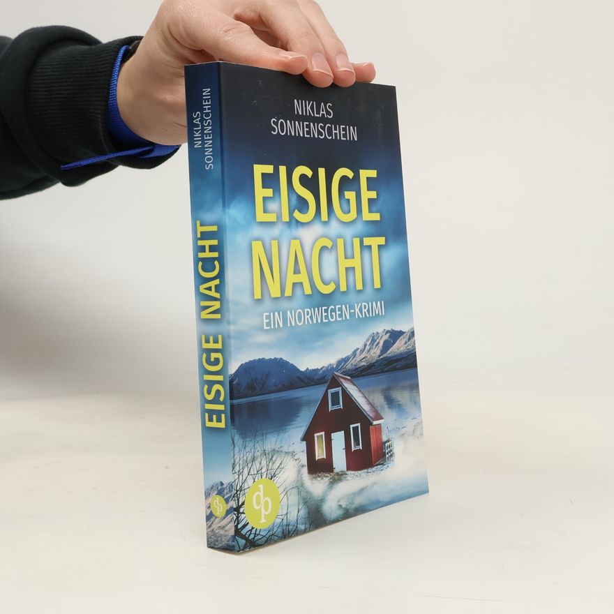 Niklas Sonnenschein Eisige Nacht