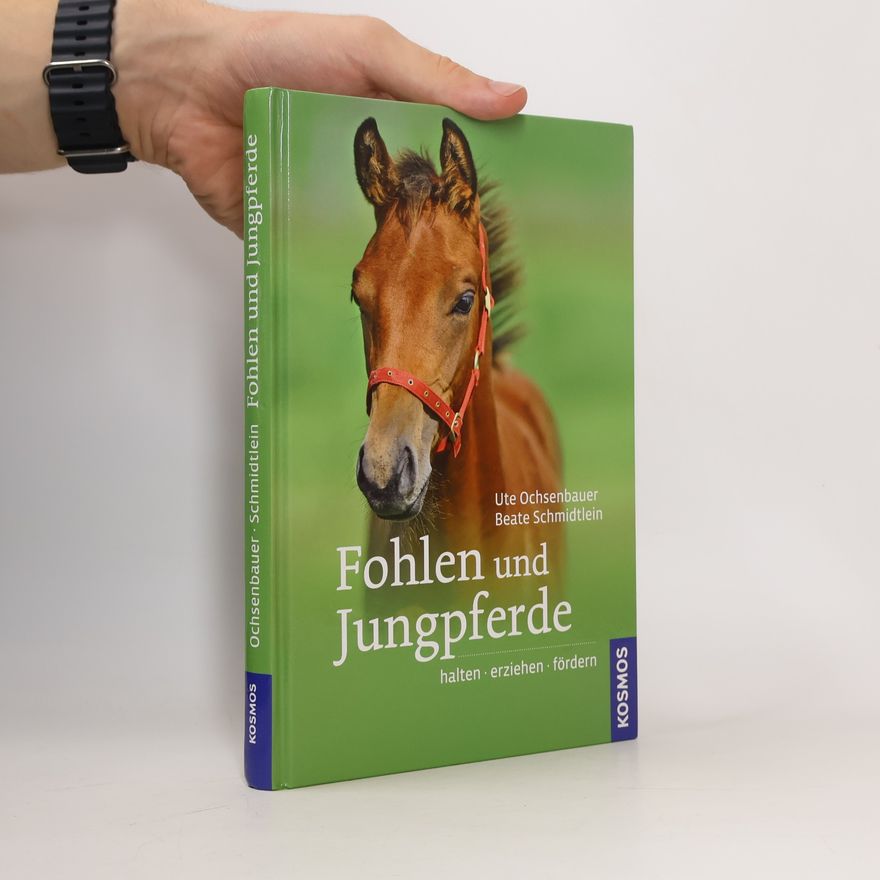 Ute Ochsenbauer Fohlen und Jungpferde