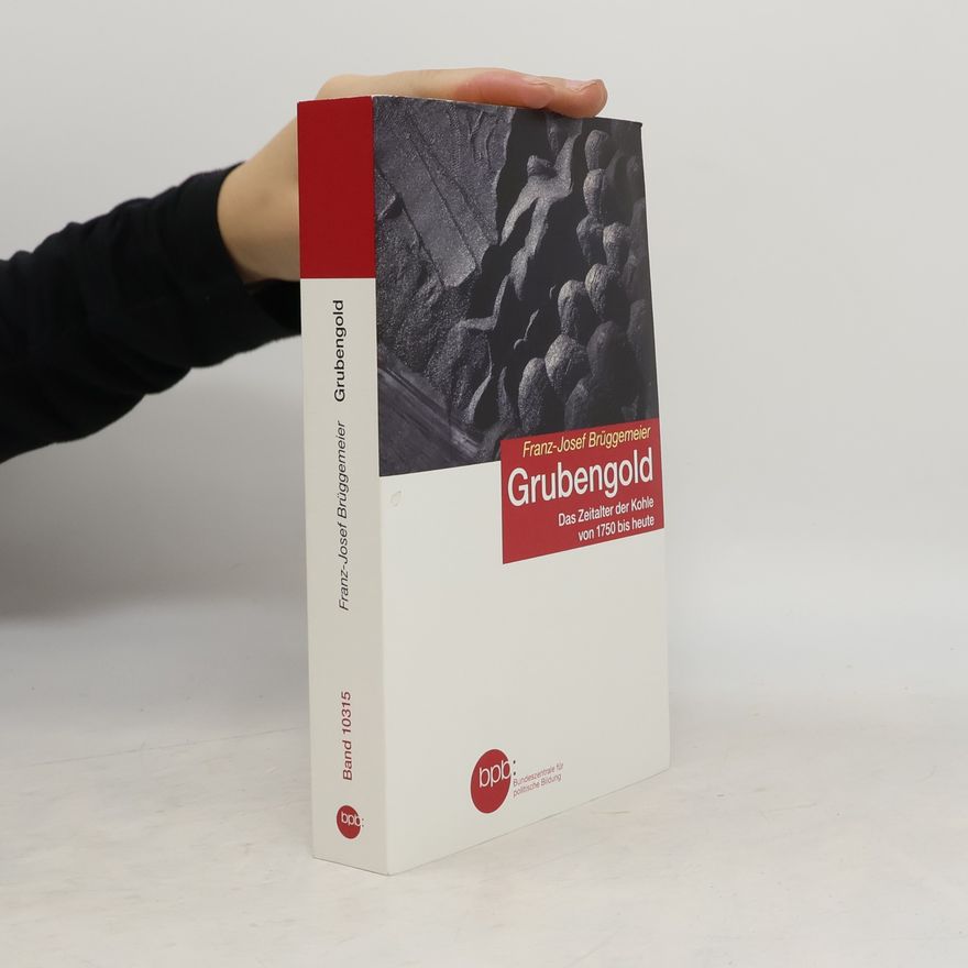 Franz-Josef Brüggemeier Grubengold