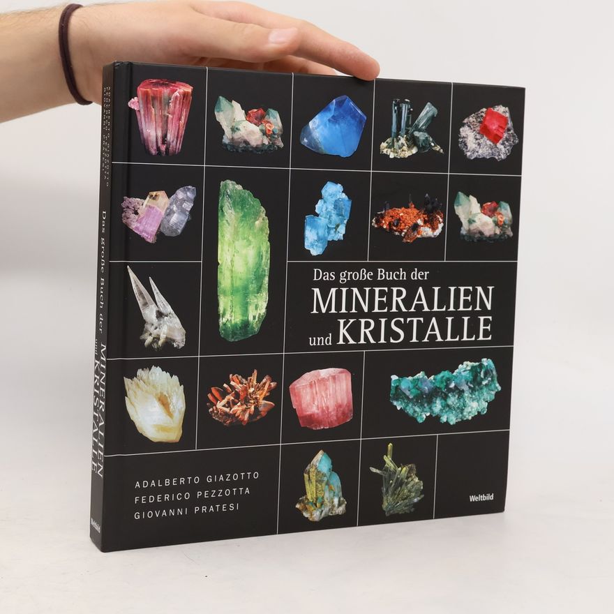 Giovanni Pratesi Das große Buch der Mineralien und Kristalle