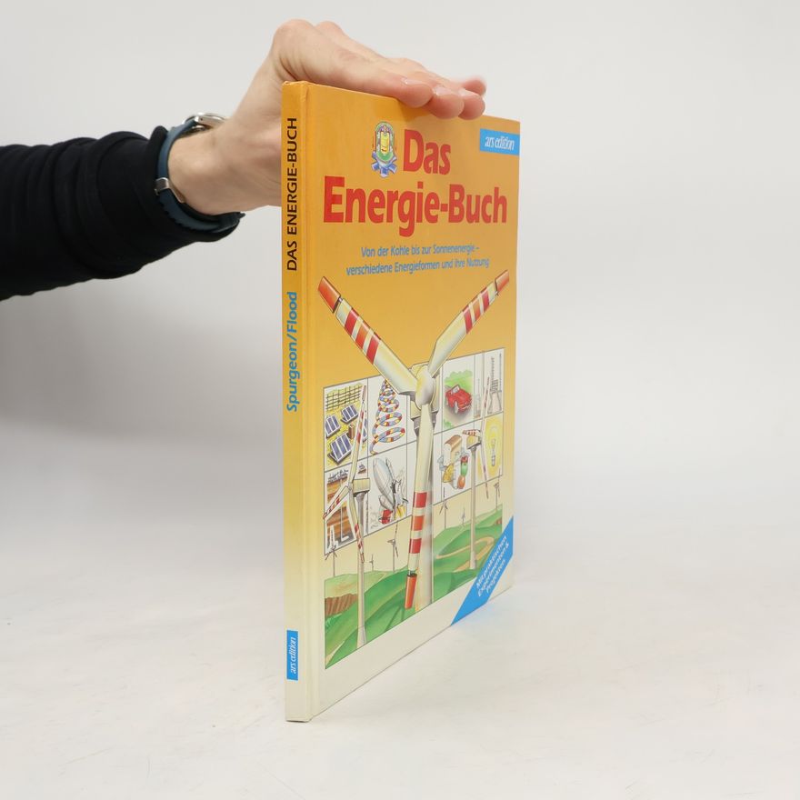 Mike Flood Das Energie-Buch