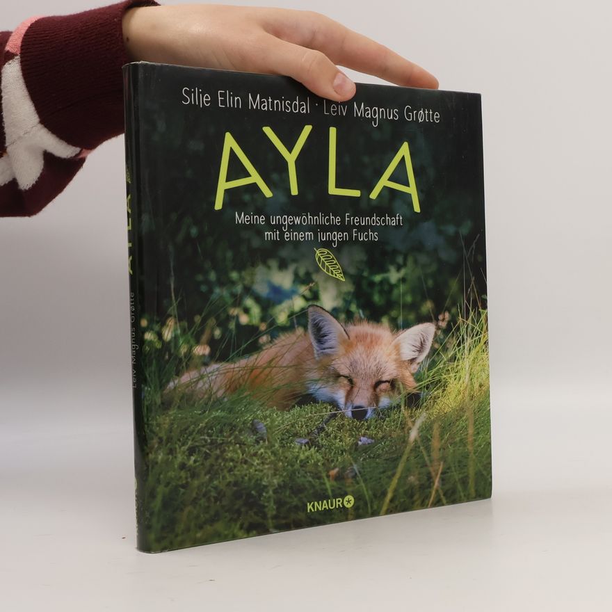 Silje Elin Matnisdal Ayla - meine ungewöhnliche Freundschaft mit einem jungen Fuchs