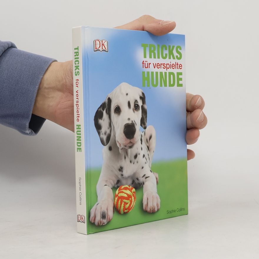 Sophie Collins Tricks für verspielte Hunde
