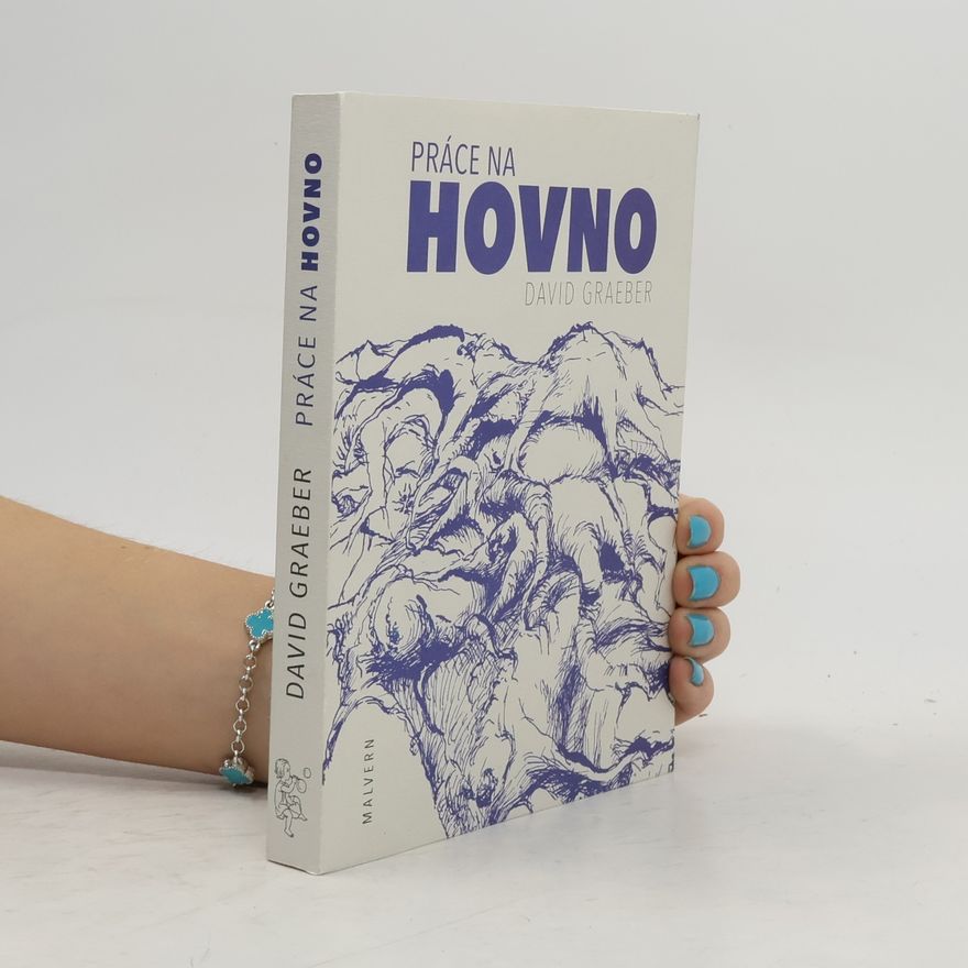 David Šír Práce na hovno