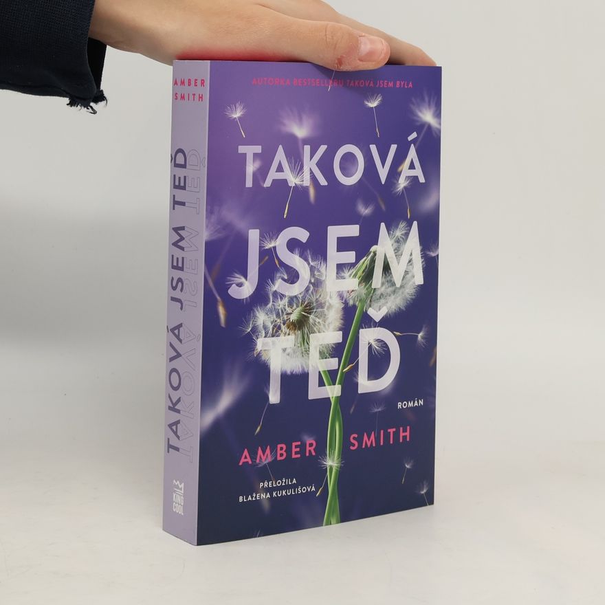 Amber Smith Taková jsem teď