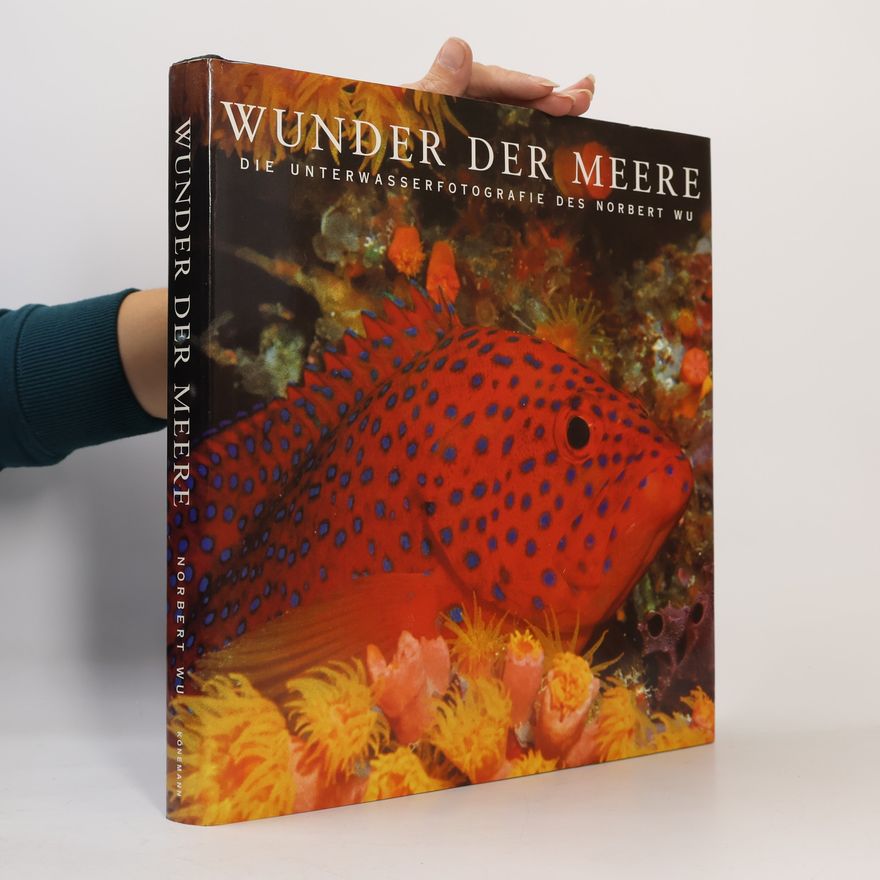 Norbert Wüpper Wunder der Meer